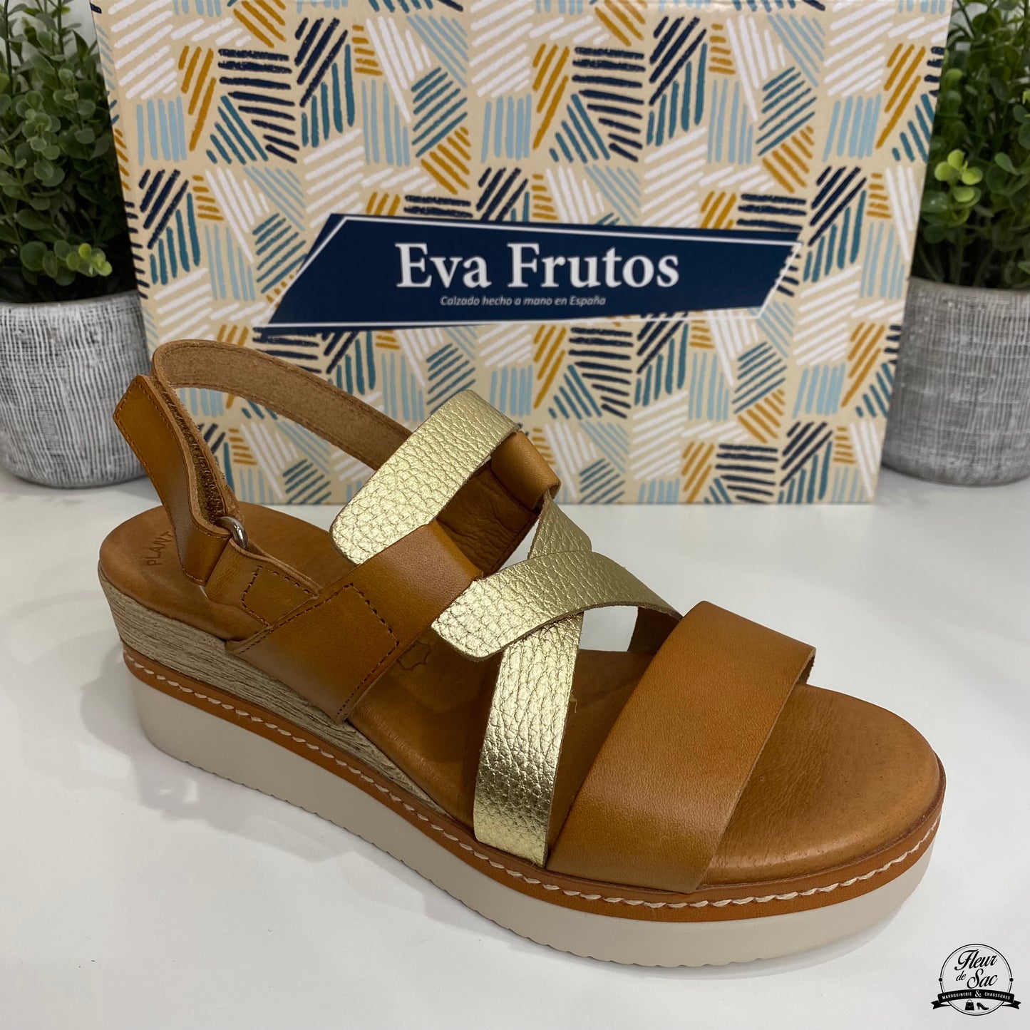 Eva Frutos 538 Marron Doré